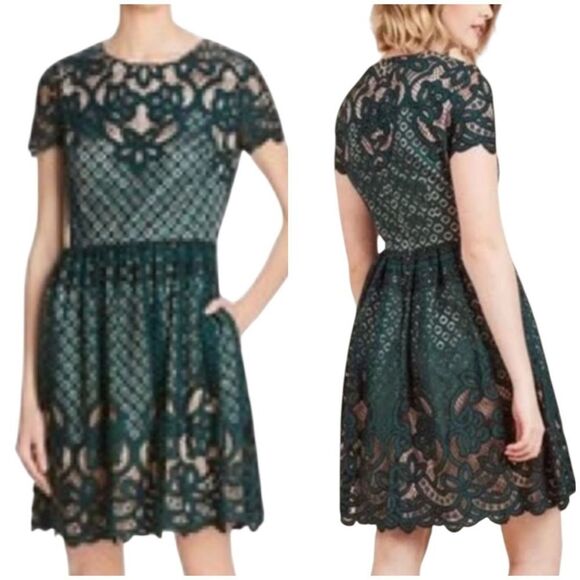 Eliza J Green Black Lace Dress Size 6 - Picture 1 of 16